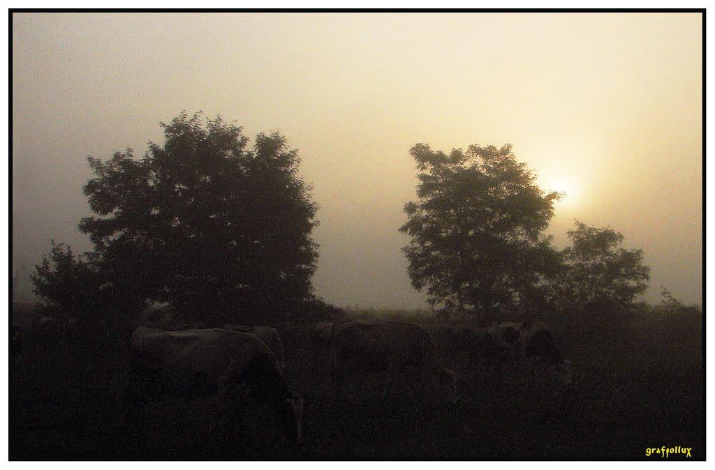 Мохначі з panoramio.com - Мохначі