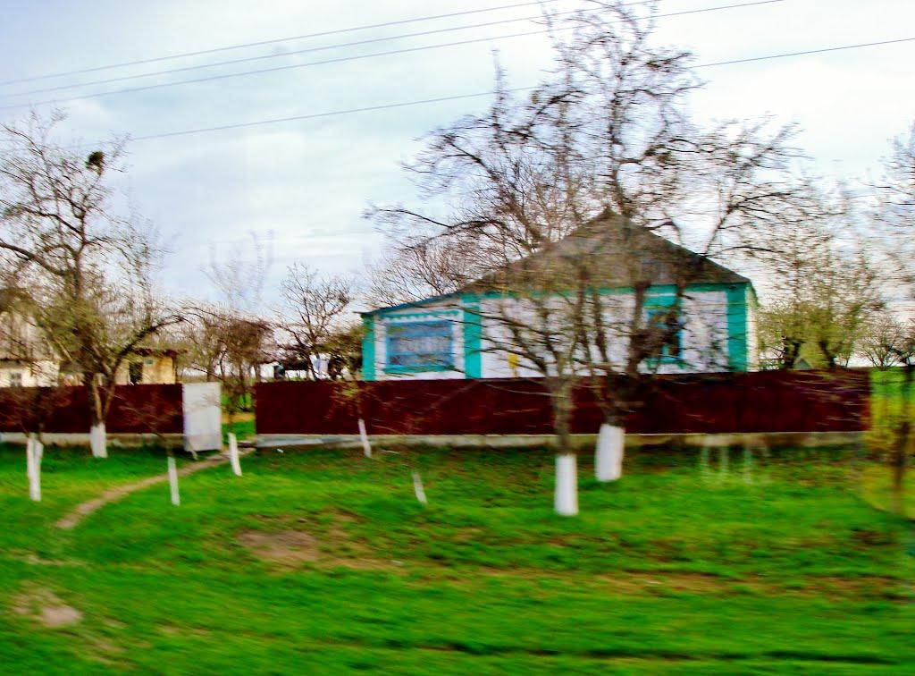 Смільчинці з panoramio.com - Смельчинцы