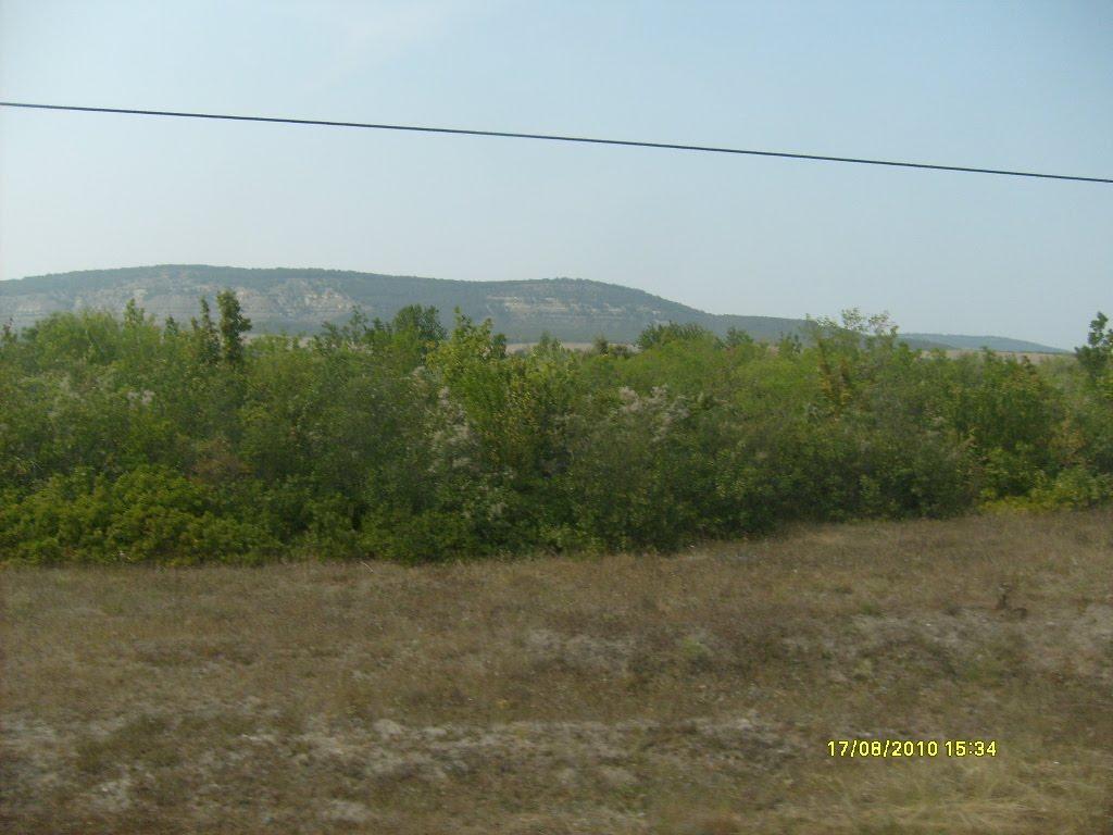 Сирень з panoramio.com - Сирень