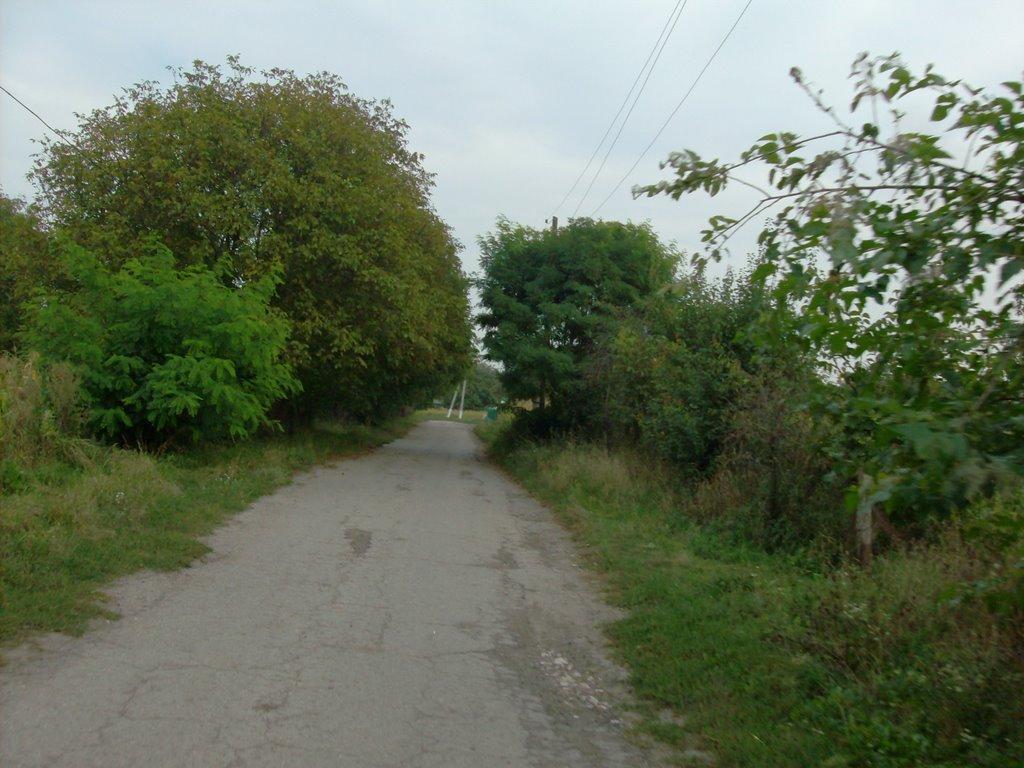 Серебрія з panoramio.com - Серебрія
