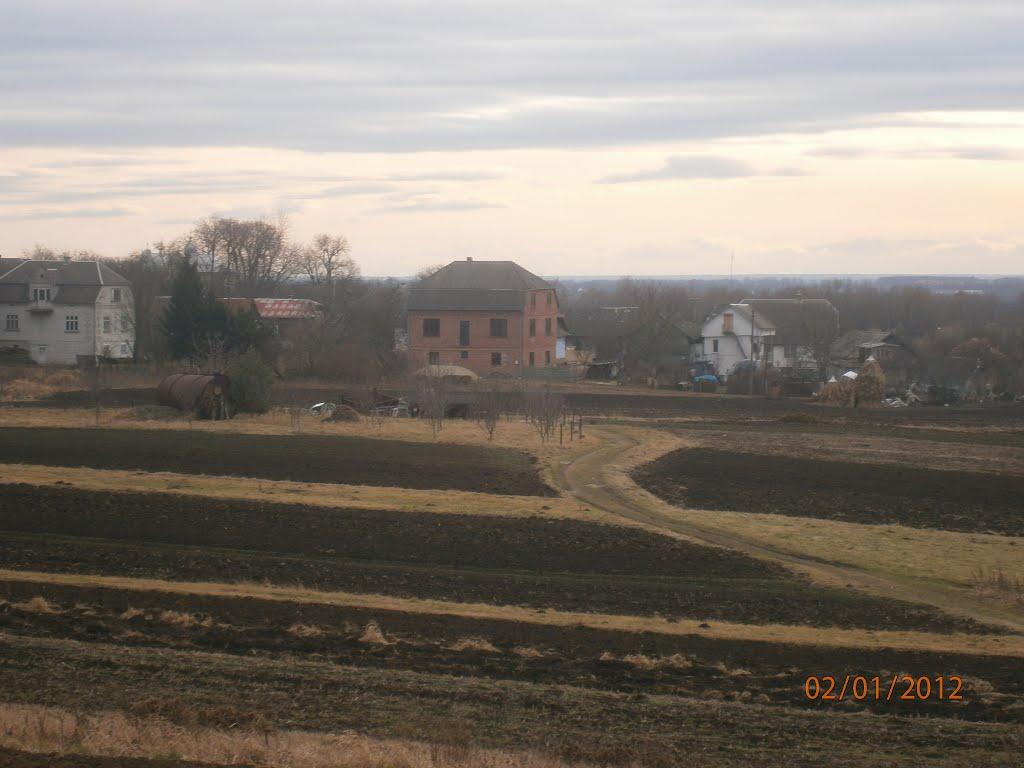 Берездівці з panoramio.com - Берездівці