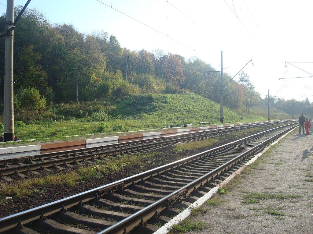 Березове з panoramio.com - Березове