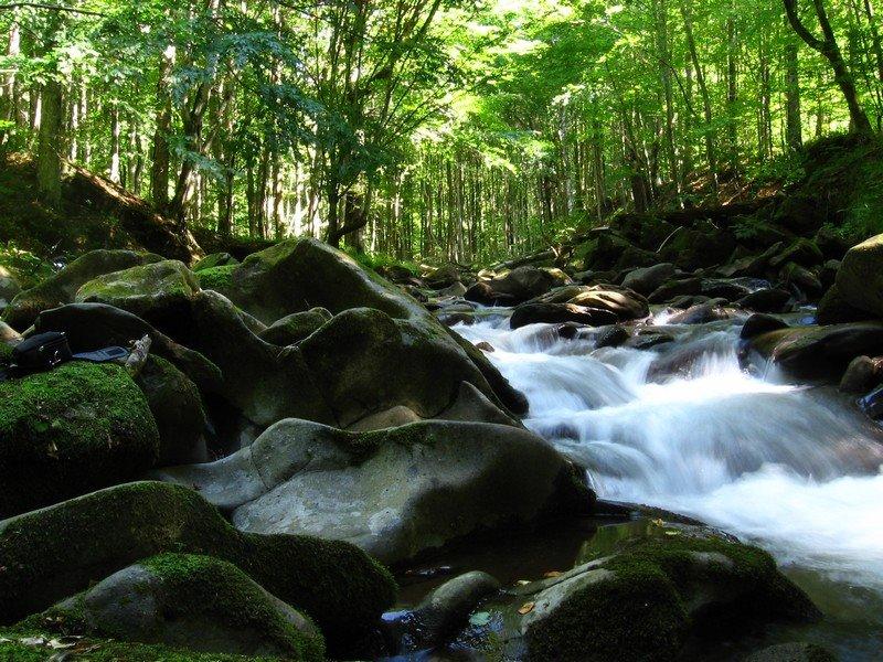 Тур'я Поляна з panoramio.com - Турья Поляна