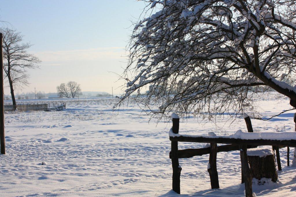 Дмитрів з panoramio.com - Дмитрів