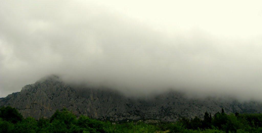 Санаторне з panoramio.com - Санаторне