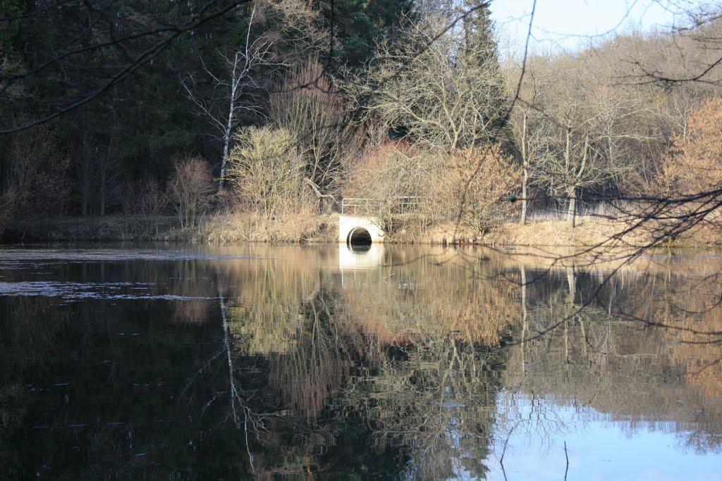 Верхівка з panoramio.com - Верховка