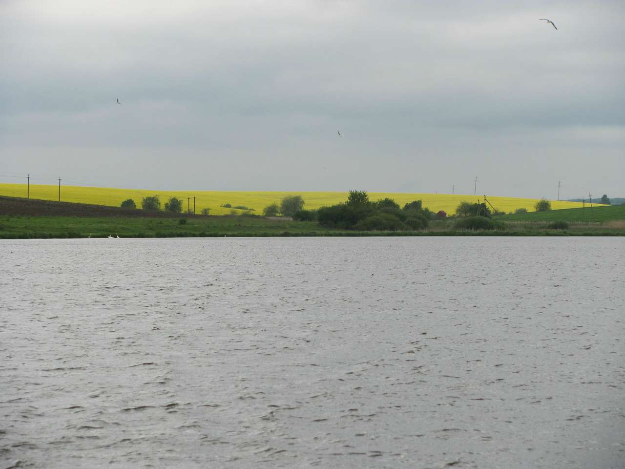 природа - Глібів