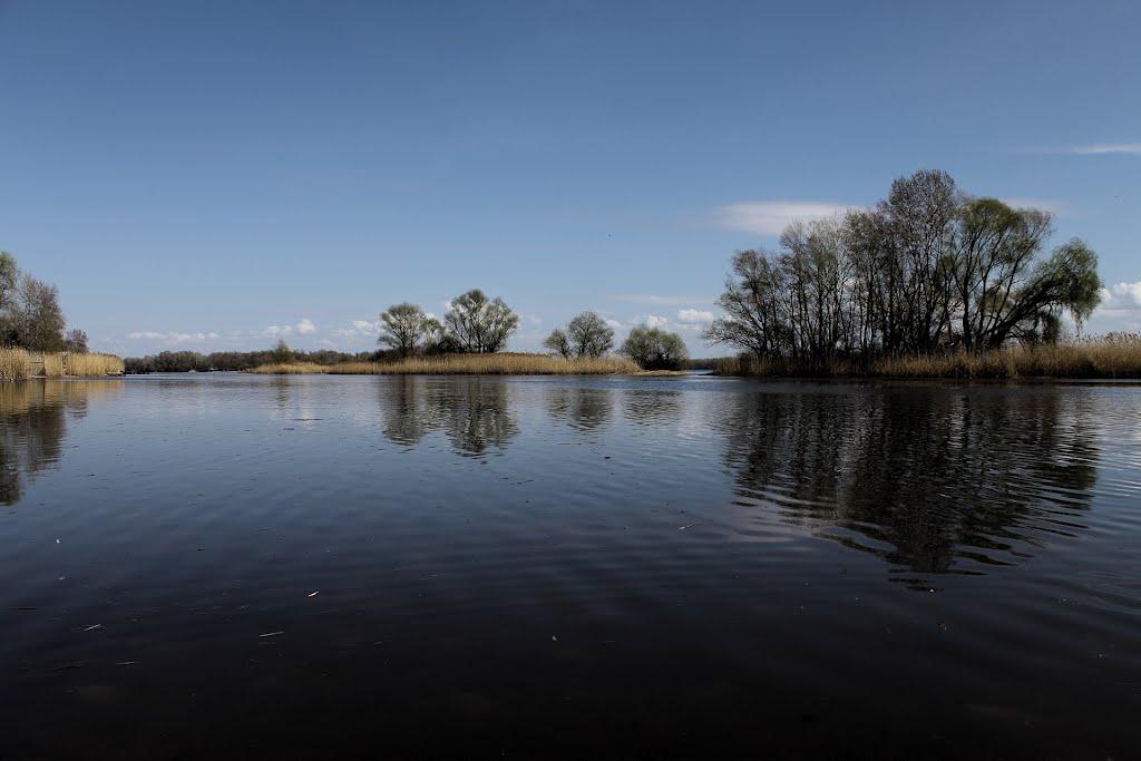 Канівське з panoramio.com - Каневское