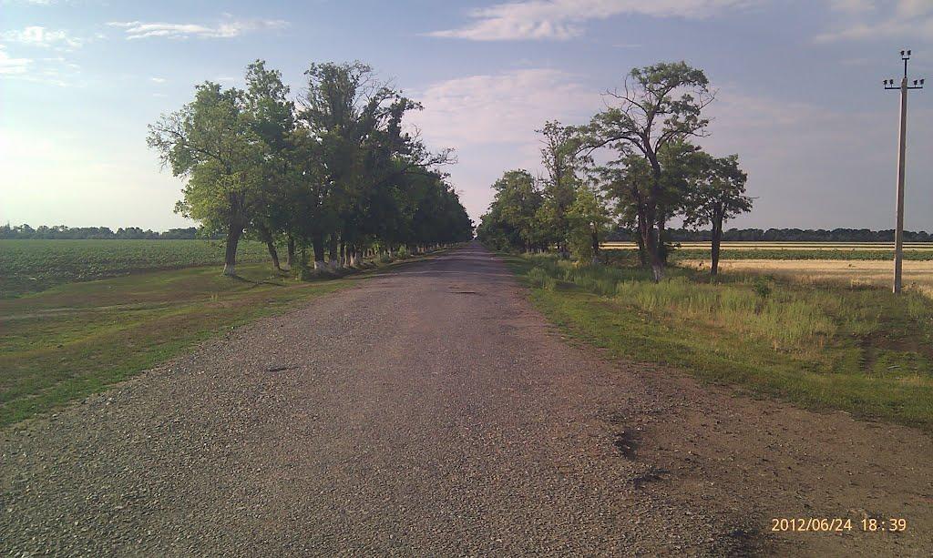 Новомиколаївка з panoramio.com - Новомиколаївка