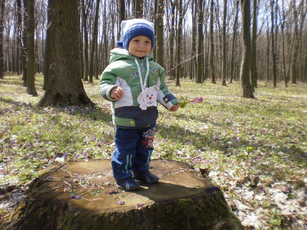 Зятківці з panoramio.com - Зятківці