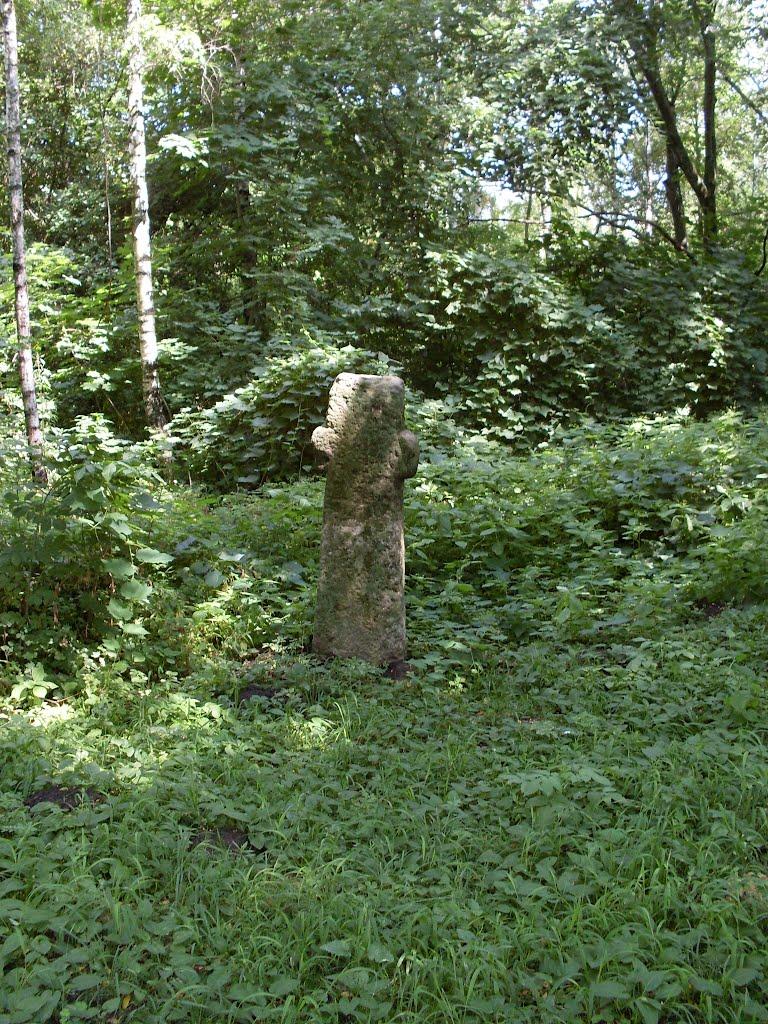 Засупоївка з panoramio.com - Засупоевка