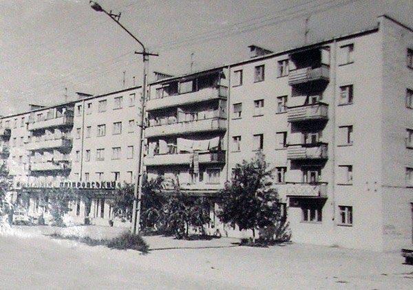 Дніпровське з panoramio.com - Дніпровське