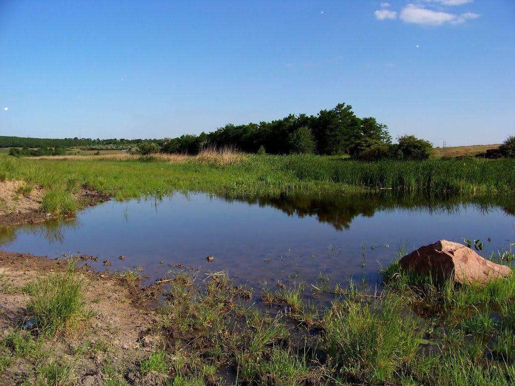 Гурівка з panoramio.com - Гуровка