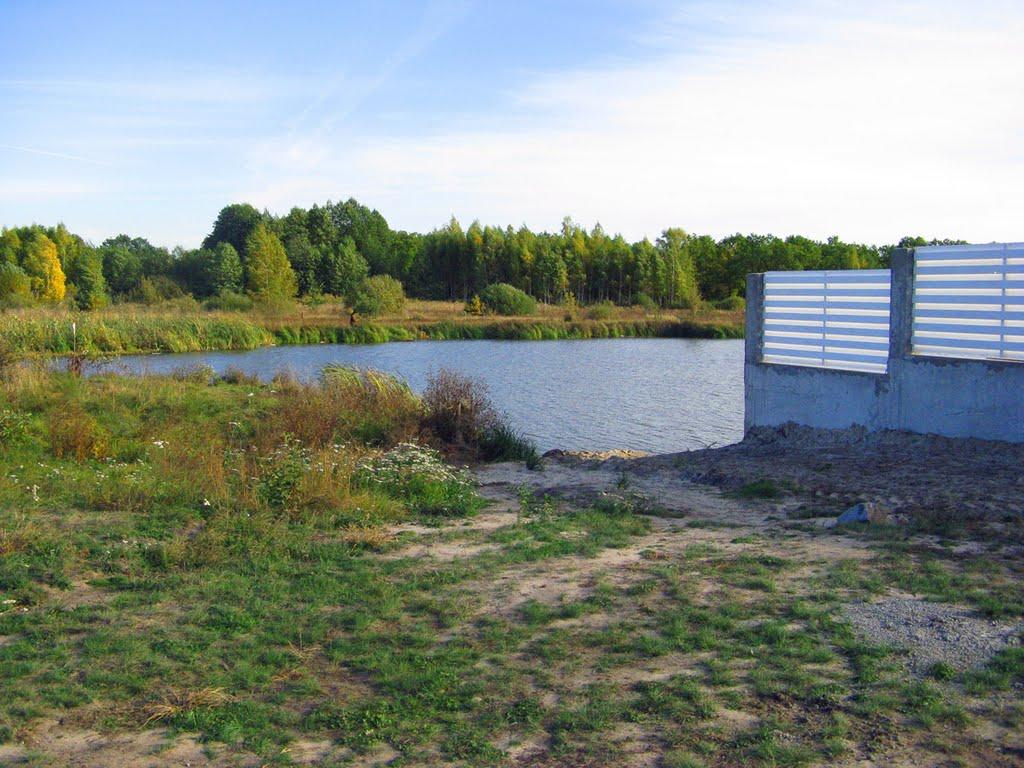 Козин з panoramio.com - Kozyn