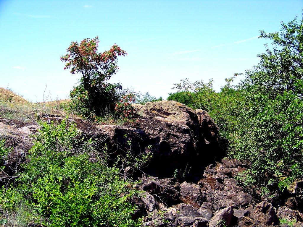 Гурівка з panoramio.com - Гуровка