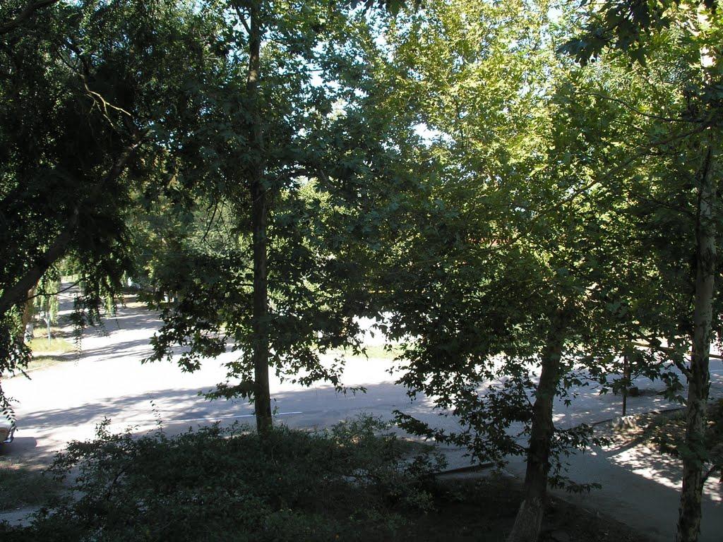 Леніне з panoramio.com - Леніне