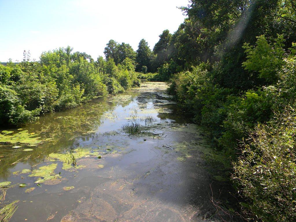 Півнівщина з panoramio.com - Півнівщина