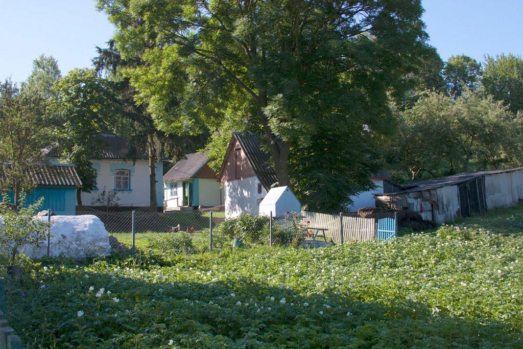 Розкопане з panoramio.com - Раскопанное