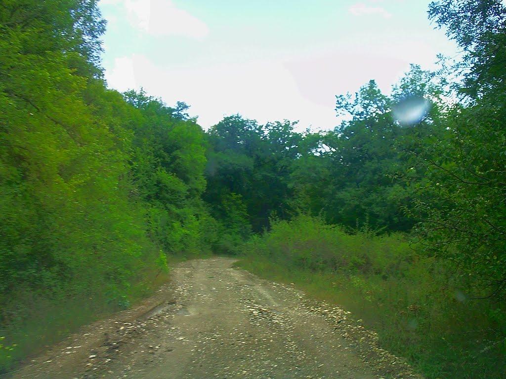 Щасливе з panoramio.com - Schaslyve