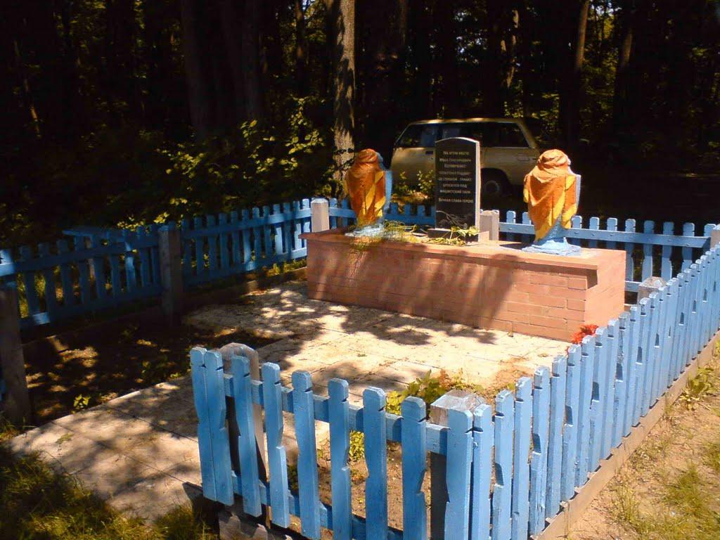 Івахнівка з panoramio.com - Ивахновка
