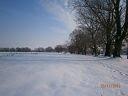 Берездівці з panoramio.com - Берездівці