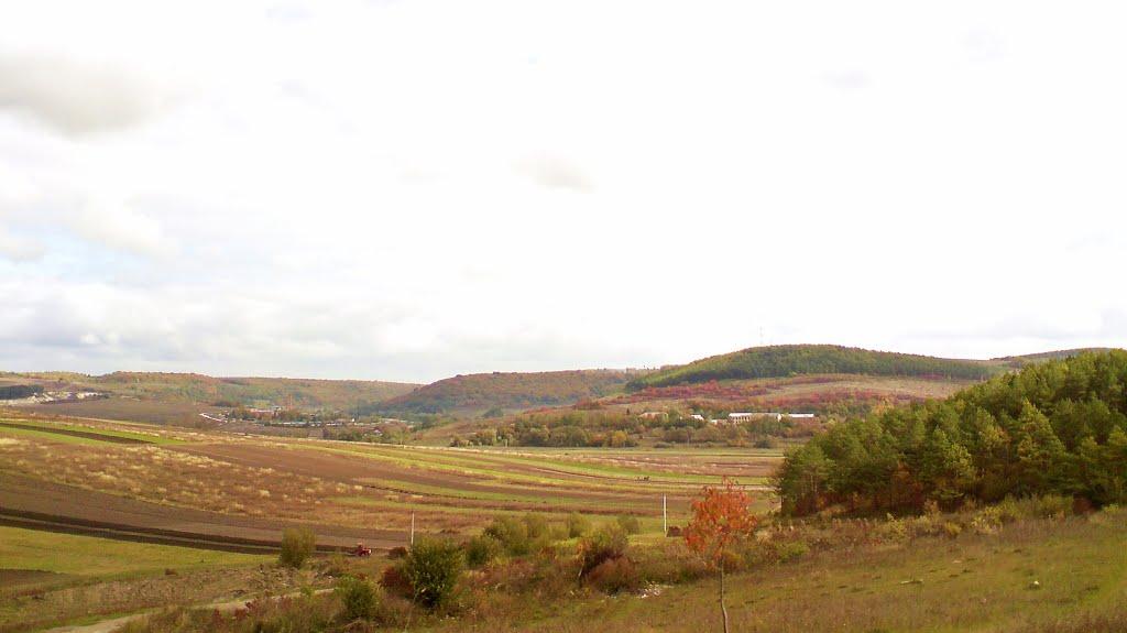 Куряни з panoramio.com - Куряни
