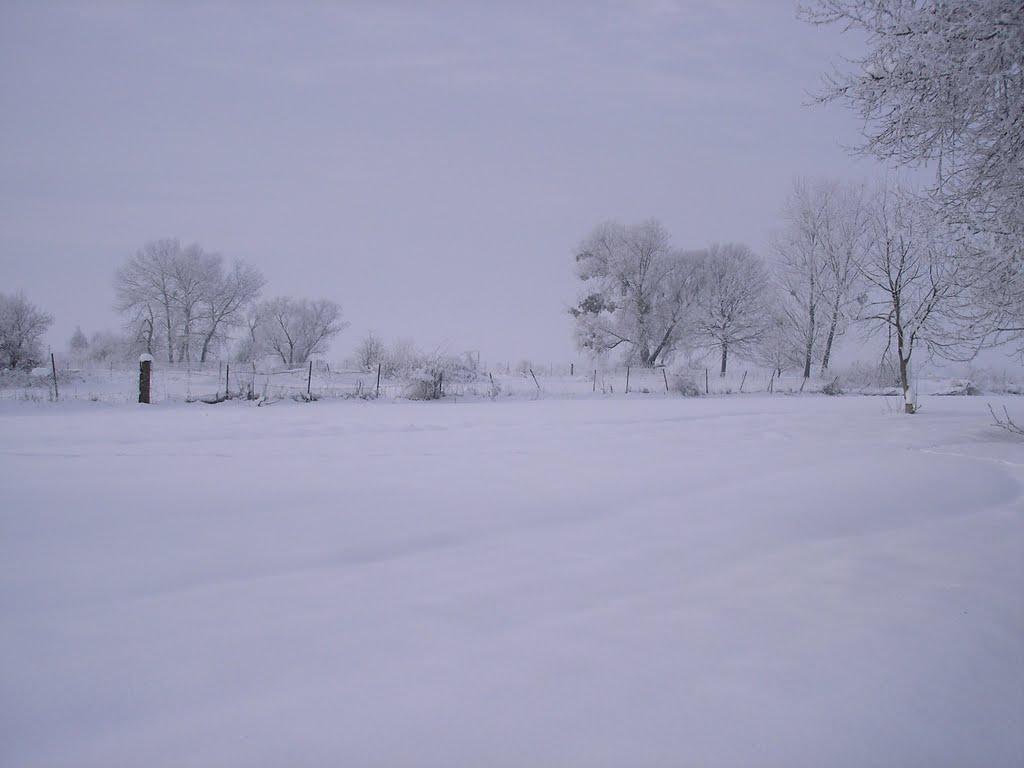 Малі Селменці з panoramio.com - Малые Селлменцы