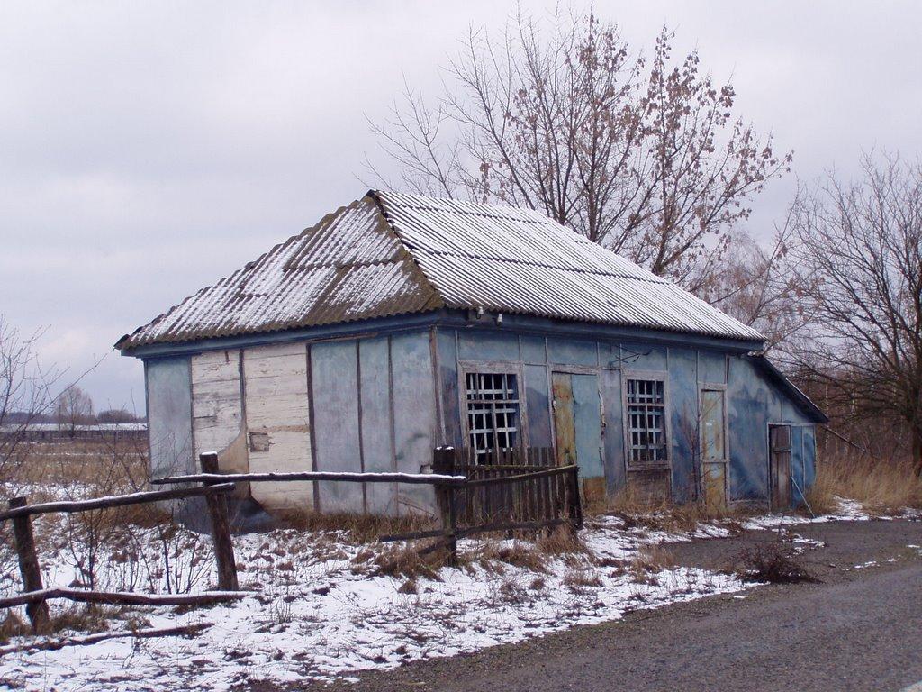 Новомирівка з panoramio.com - Новомирівка