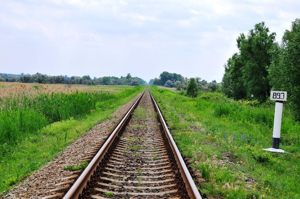 Половинкине з panoramio.com - Половинкине