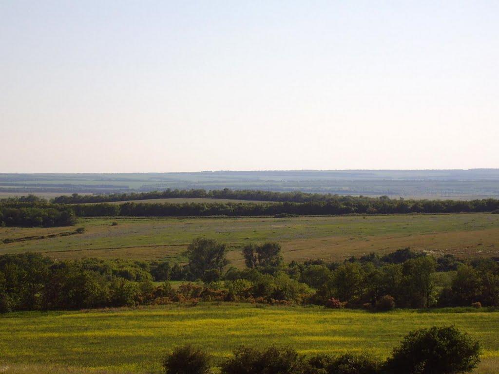 Новозванівка з panoramio.com - Новозвановка
