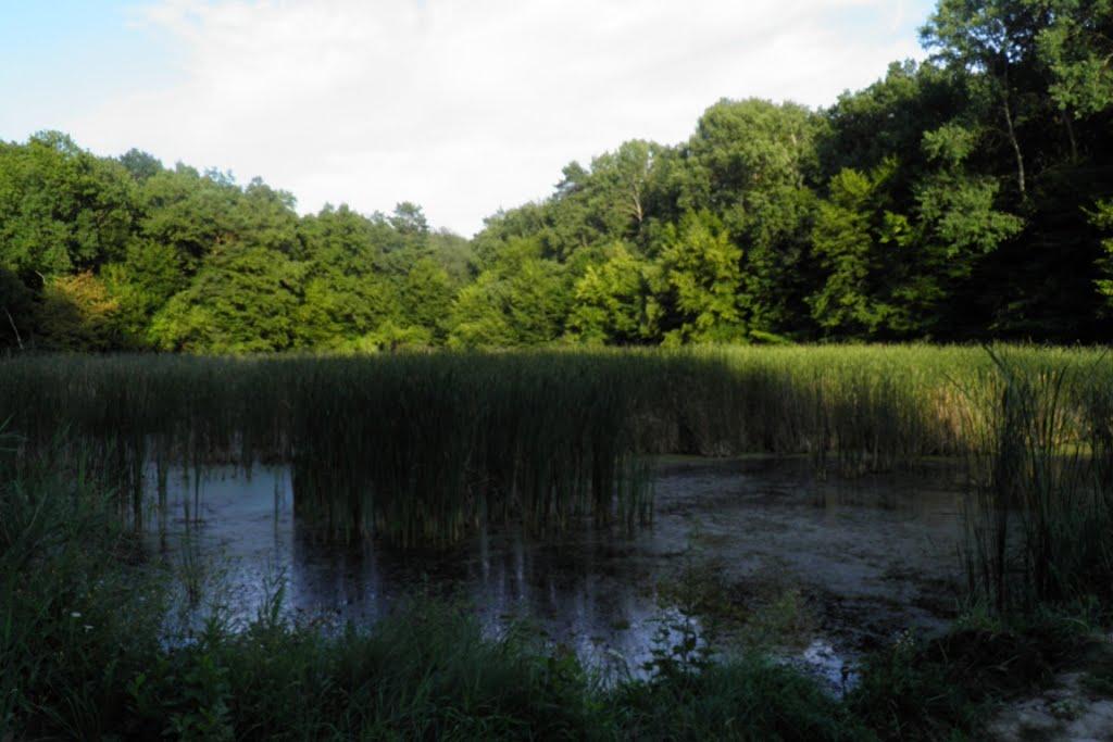 Верхівка з panoramio.com - Верховка