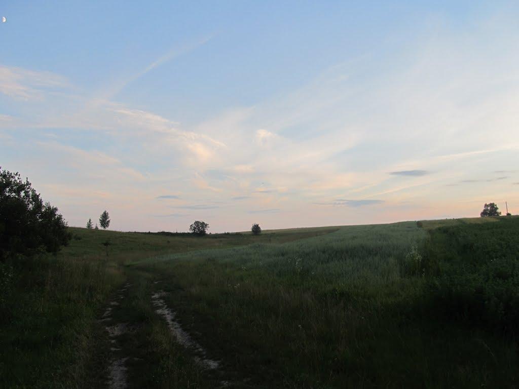 Клопіт з panoramio.com - Klopit