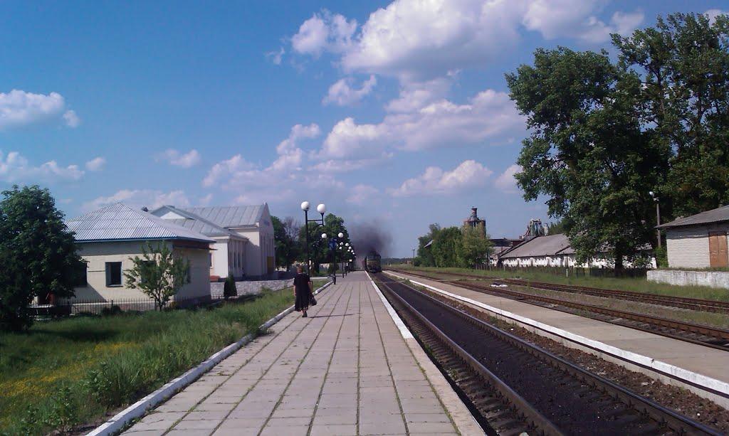 Малинськ з panoramio.com - Малинськ