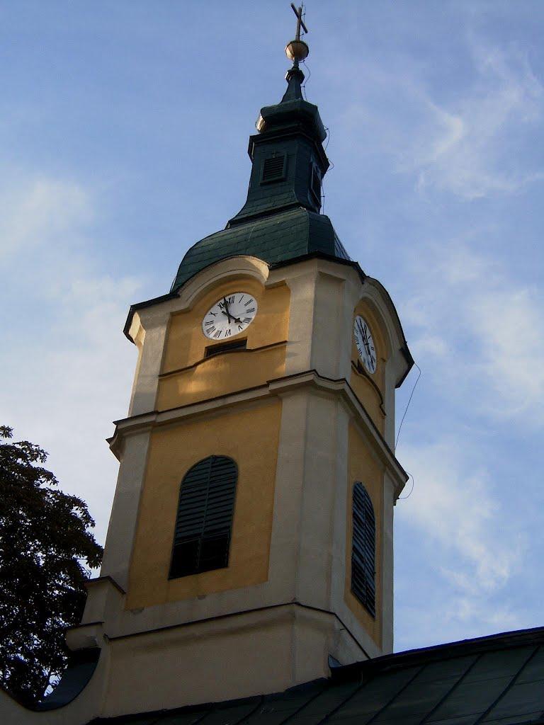 Малі Селменці з panoramio.com - Малые Селлменцы