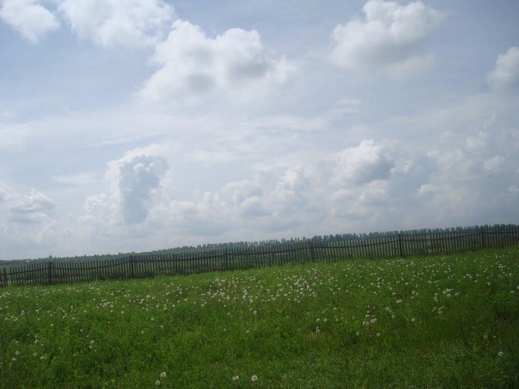 Вільховець з panoramio.com - Вільховець