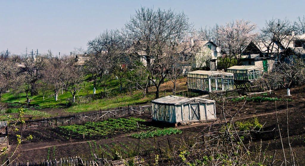 Брянка з panoramio.com (ч.2) - Bryanka