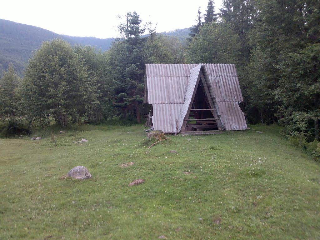 Буркут з panoramio.com - Буркут