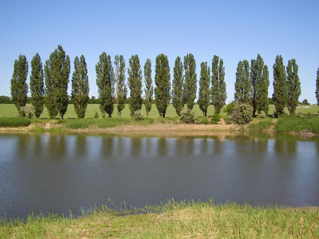 Новотошківське з panoramio.com - Новотошківське