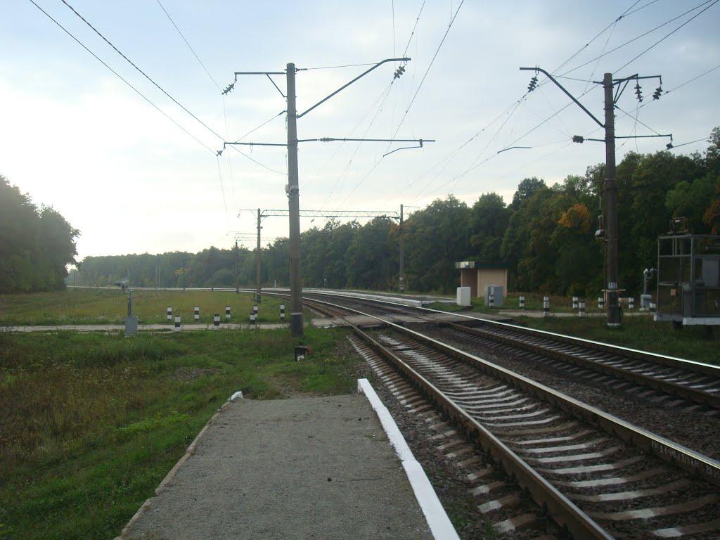 Колом'є з panoramio.com - Колом'є