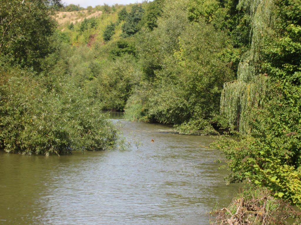 Боришківці з panoramio.com - Boryshkivtsi