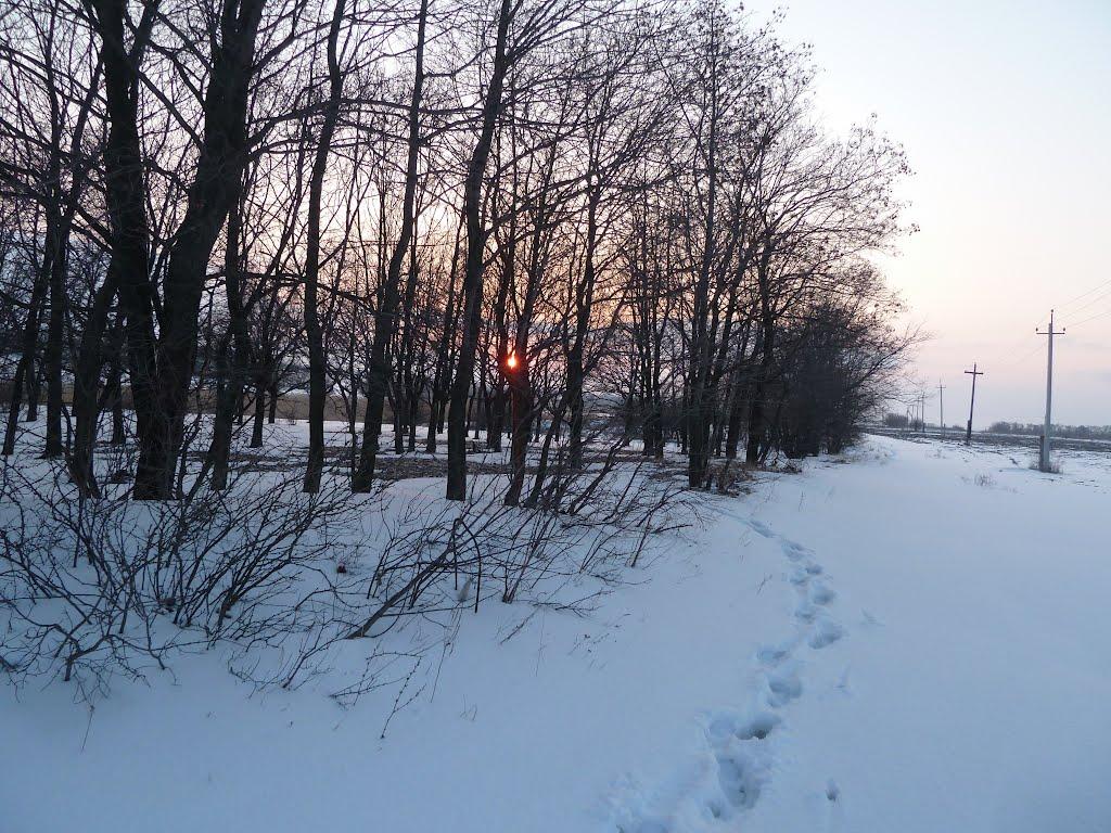 Микільське з panoramio.com - Микільське