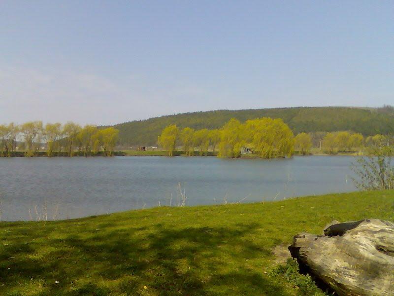 Устя-Зелене з panoramio.com - Устя-Зелене