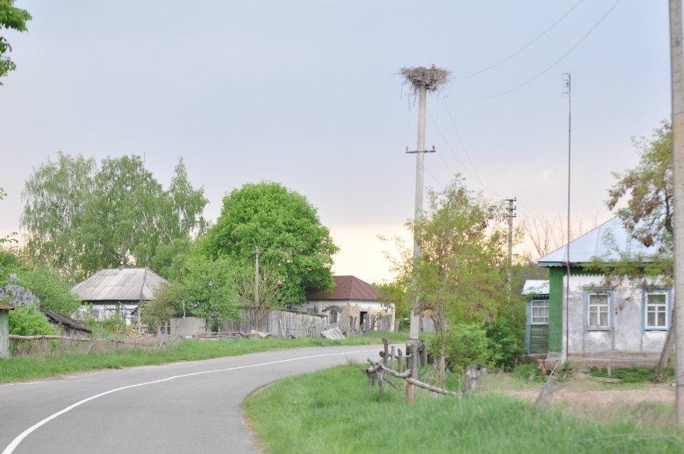 Обірки з panoramio.com - Обірки