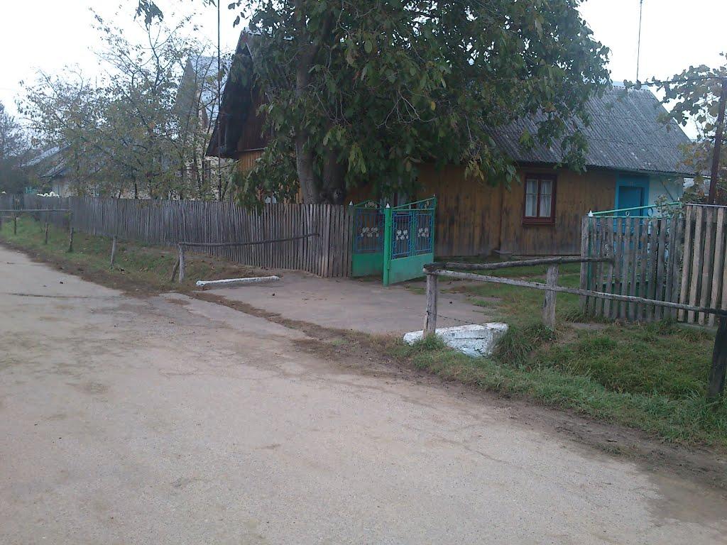 Дрогомишль з panoramio.com - Дрогомишль