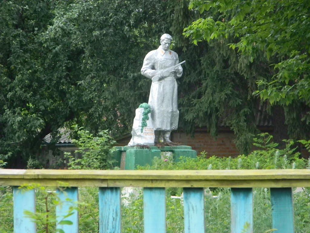 Півнівщина з panoramio.com - Півнівщина