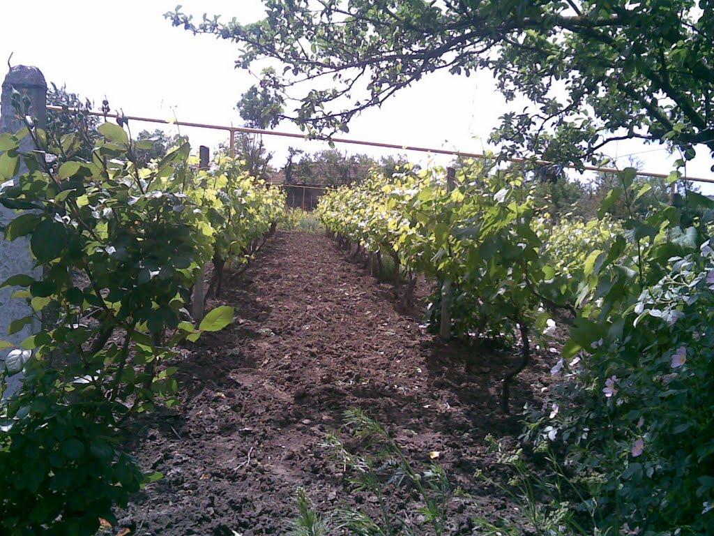 Городнє з panoramio.com - Городнє