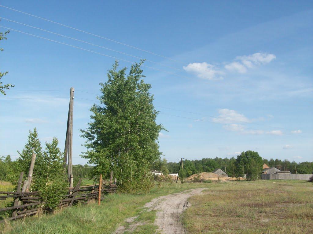 Горіхове з panoramio.com - Gorikhove