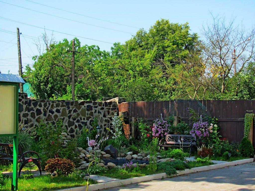 Млинів з panoramio.com - Млинов