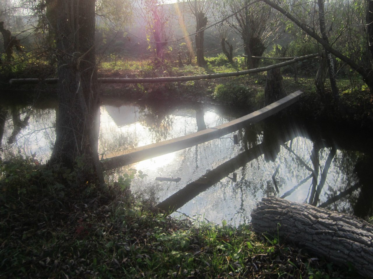 ПРИРОДА - Рачинці