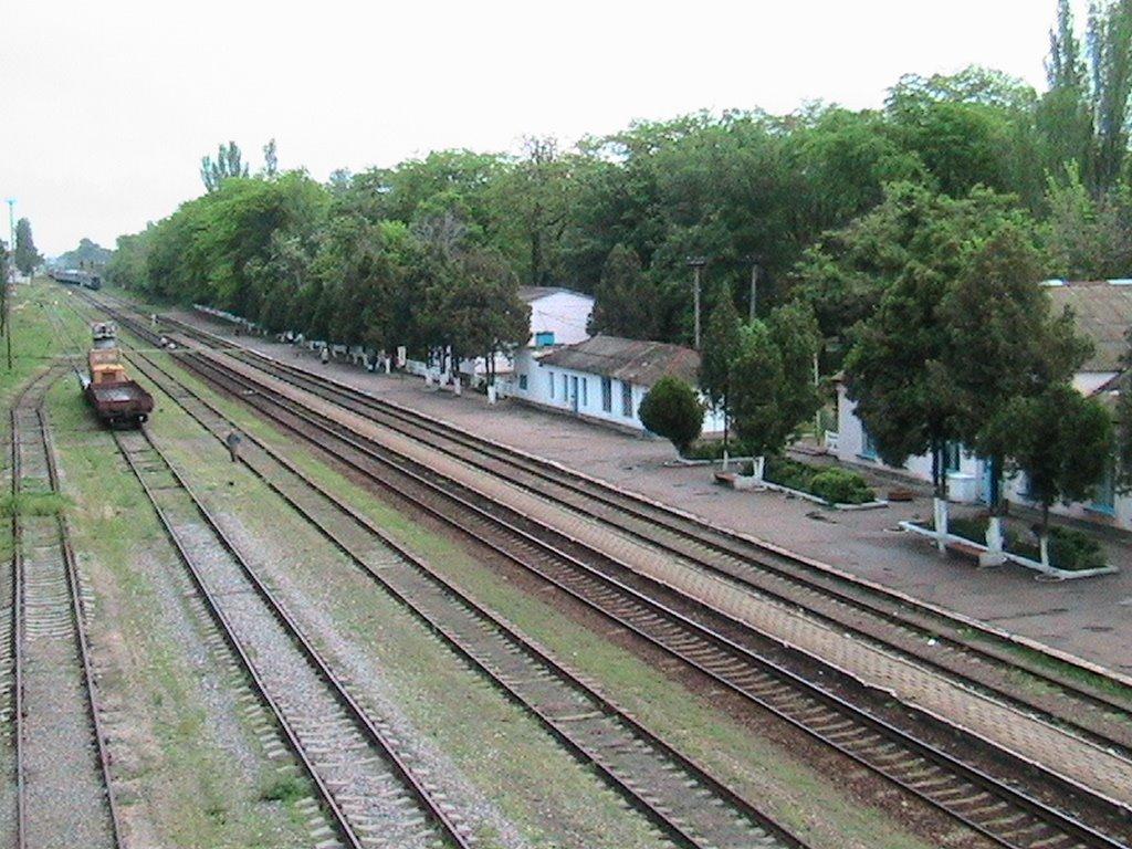 Совєтський з panoramio.com - Советский
